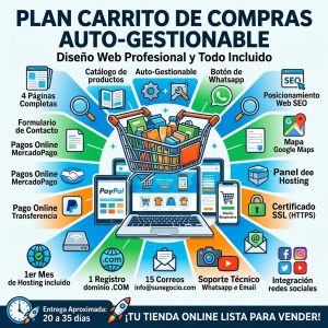 Diseño web profesional para tienda online con carrito de compras autogestionable en WordPress y WooCommerce. Servicio de Pipa Social Media.