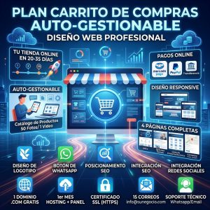 Diseño web profesional para tienda online con carrito de compras autogestionable en WordPress y WooCommerce. Servicio de Pipa Social Media.