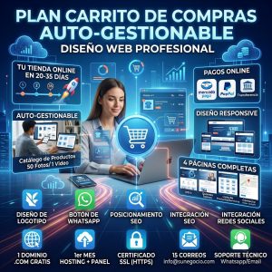 Diseño web profesional para tienda online con carrito de compras autogestionable en WordPress y WooCommerce. Servicio de Pipa Social Media.